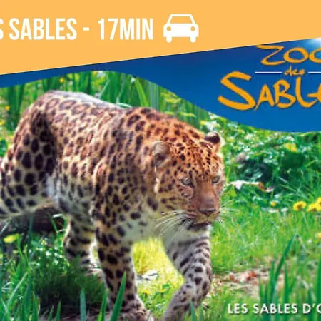 Havre Lumineux Pour Se Ressourcer Et Déconnecter - Bord De *