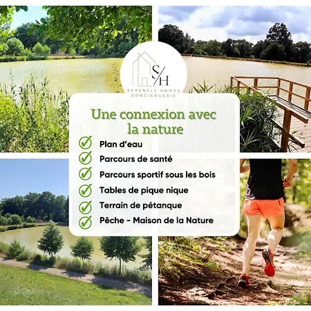 Havre Lumineux Pour Se Ressourcer Et Déconnecter - Bord De