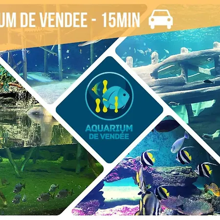 Chalet Deconnexion En Bord De Confort Et Serenite Piscine Sauna Fitness Sainte-Foy (Vendee)
