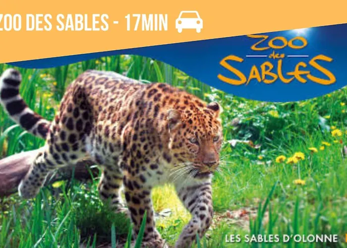 Deconnexion En Bord De Confort Et Serenite Piscine Sauna Fitness *