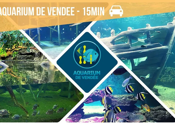 Шале Deconnexion En Bord De Confort Et Serenite Piscine Sauna Fitness Sainte-Foy (Vendee)